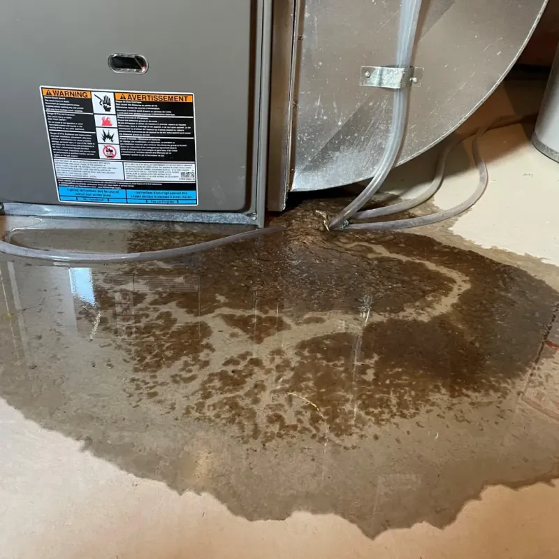 Appliance Leak Cleanup in Appomattox, VA