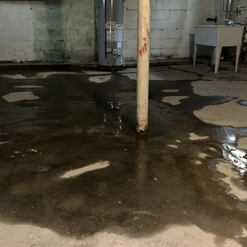 Emergency Water Extraction And Removal in Appomattox, VA
